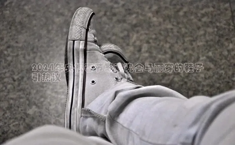 意昂体育3娱乐用176五八27从同程2024年央视春节联欢晚会马丽穿的鞋子
引热议