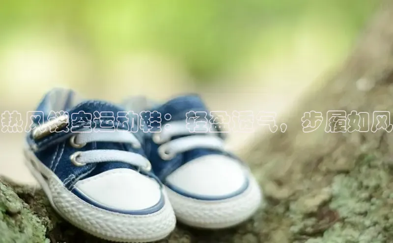 意昂3登陆入口即登录小红书热风镂空运动鞋：轻盈透气，步履如风