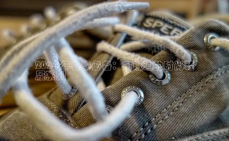 意昂3手机版登录雷柏科技2024 年春季必备：布班迪的时尚鞋
履系列