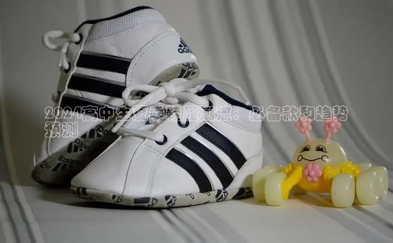 意昂3手机版官网宇信科技2024高中生夏季鞋履潮流：必备款和趋势
预测