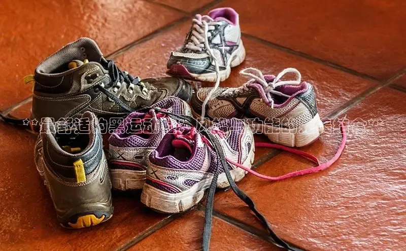 意昂3平台客服观星盘