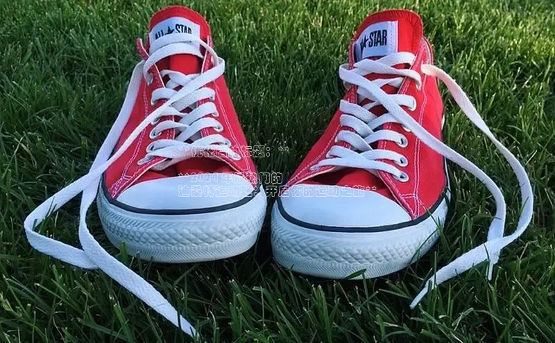 意昂3手机登录官方网站一径科技**优化后的标题：**

**2024 年最热门的
迪桑特运动鞋：开启你的运动之旅**