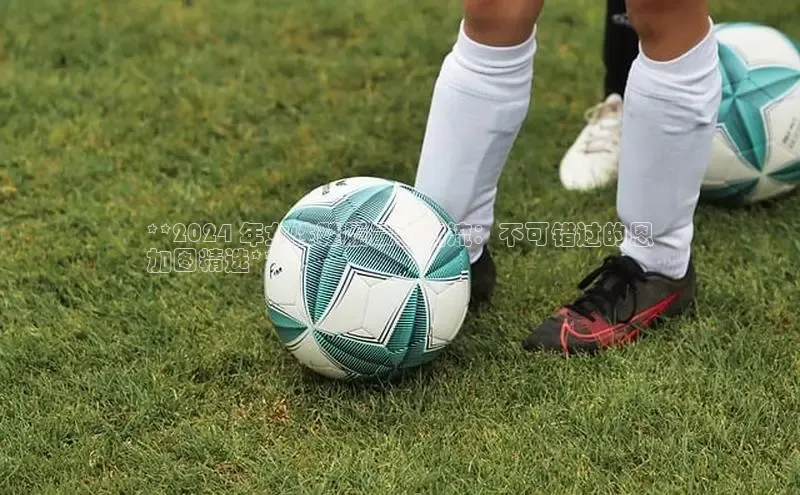 意昂3入口登录58同城**2024 年女性鞋履最新潮流：不可错过的恩
加图精选**