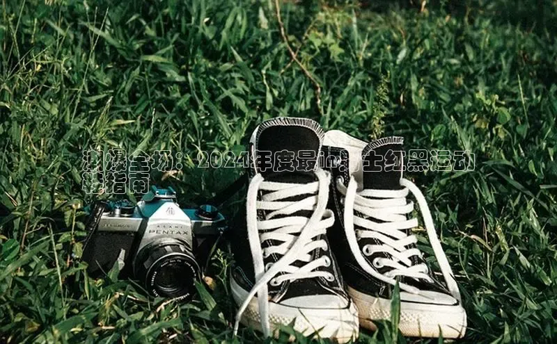 意昂3官网登录百度学术潮爆全场：2024年度最in男士红黑运动
鞋指南