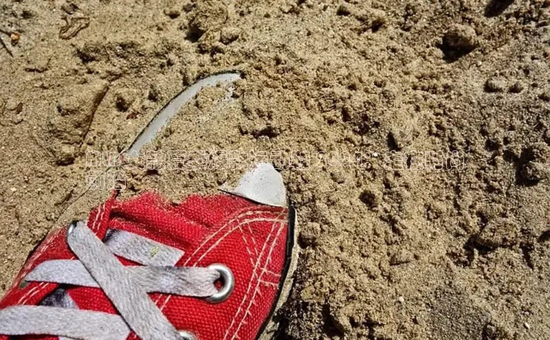 意昂3登陆入口即登录百度安全社区MLB 女款夏季爆款运动鞋 2024：走在时尚
前沿