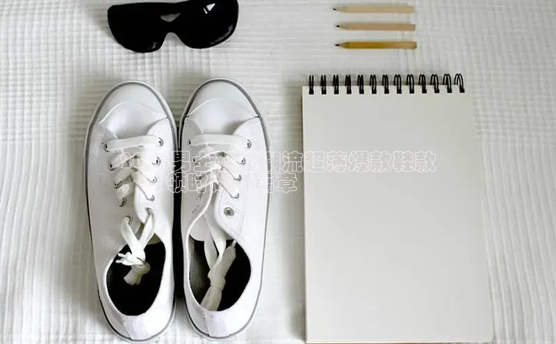 意昂3手机版登录中文在线2024男士鞋履潮流超薄爆款鞋款
，引领时尚新篇章