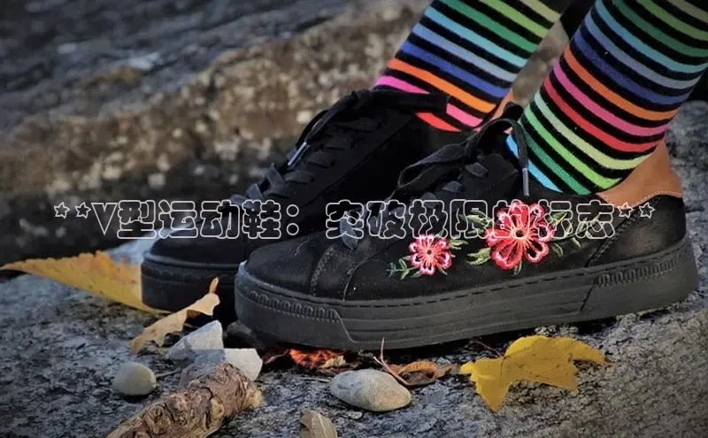 意昂3手机版登录雷柏科技**V型运动鞋：突破极限的标志**