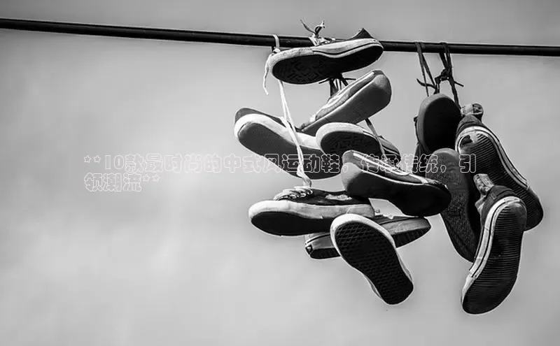 意昂3登录首页美团**10款最时尚的中式风运动鞋，传承传统，引
领潮流**