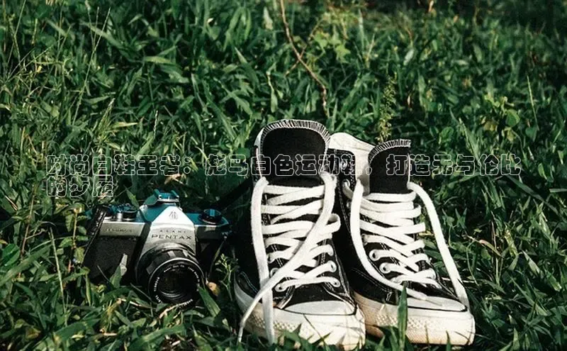 意昂3手机版登陆入口在哪里百度手机卫士时尚白鞋王者：彪马白色运动鞋，打造无与伦比
的步履