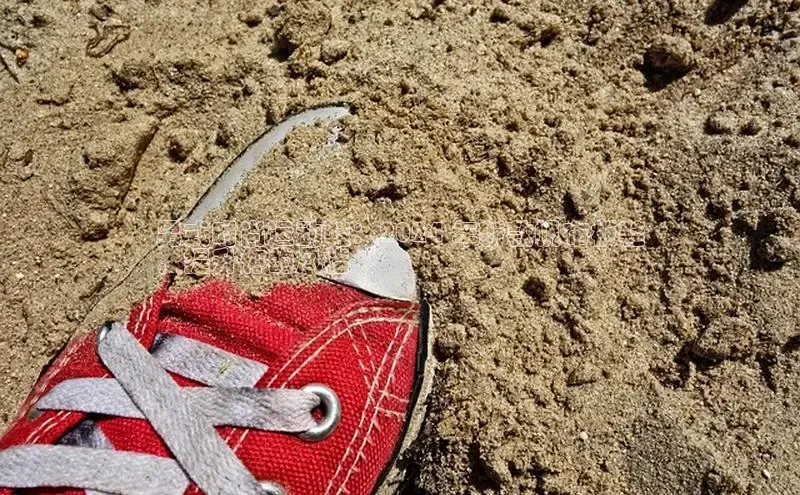 意昂3入口登录文心一言男式时尚运动鞋：2024 年新款帆布板鞋
，提升你的风格