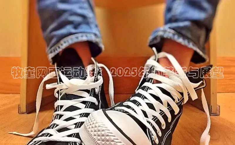 意昂3平台客服百度网盘企业版牧童网面运动鞋：2025年的革新与展望