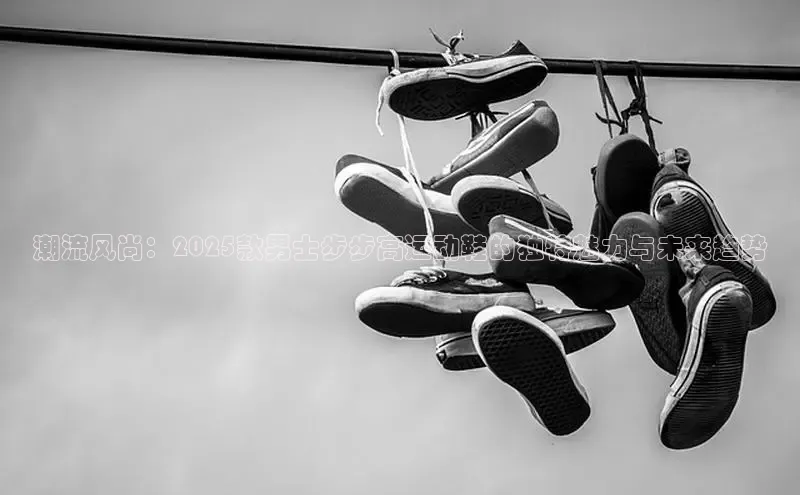 意昂3登陆入口百度翻译潮流风尚：2025款男士步步高运动鞋的独特魅力与未来趋势