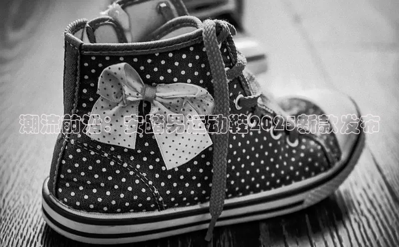 潮流前沿：安踏男运动鞋2025新款发布