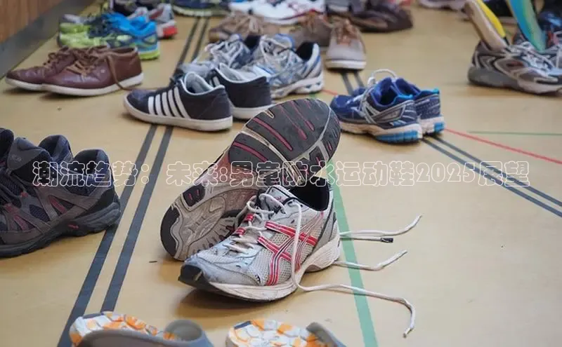 潮流趋势：未来:男童防水运动鞋2025展望