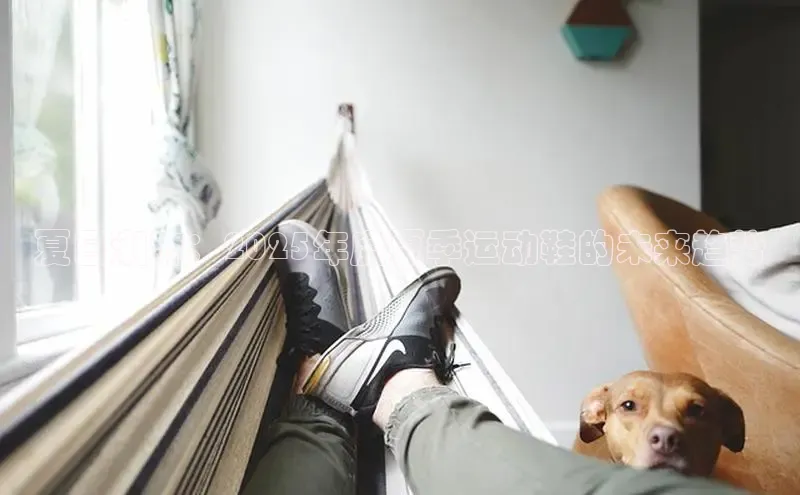 意昂官网入口登录